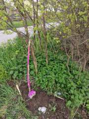 Pomiar kamienia granicznego